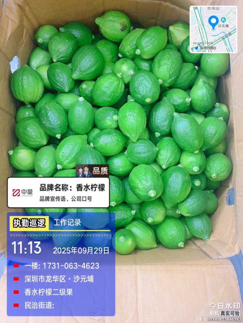 广东香水柠檬一级果