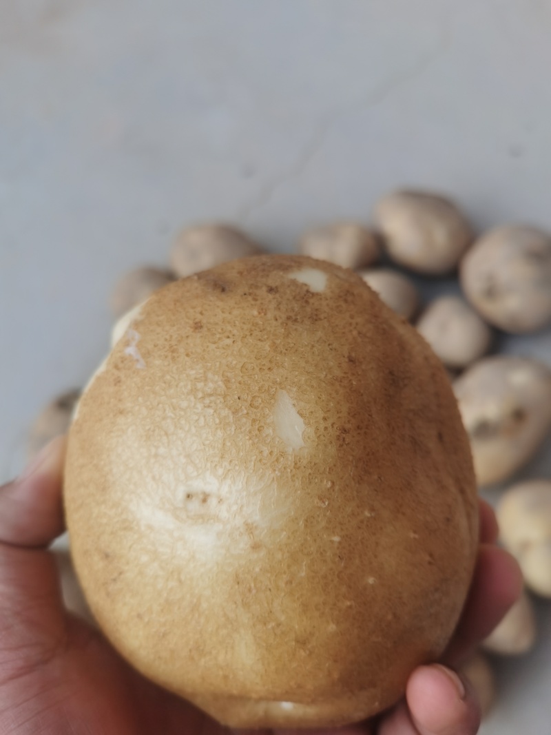 土豆