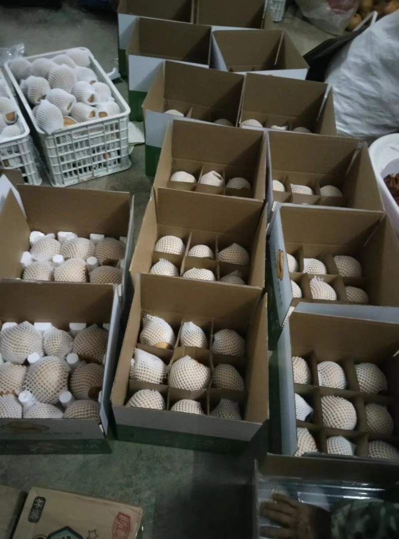 建始硝洞桐梓沟金果