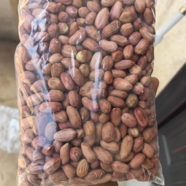 8个筛上花生米