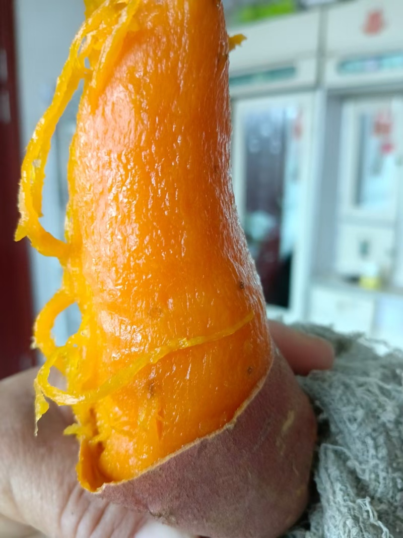 辽宁锦州烟薯