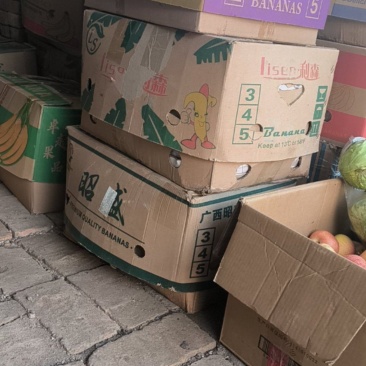 国光富士很多品种的苹果