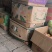 国光富士很多品种的苹果