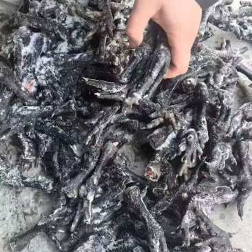 乌鸡爪山东厂家直销质量保证价格实惠售后无忧