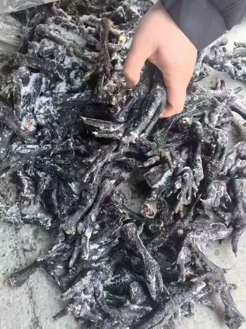 乌鸡爪山东厂家直销质量保证价格实惠售后无忧
