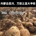 内蒙武川土豆