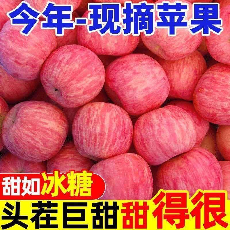 红富士苹果各电商平台一件代发