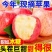 红富士苹果各电商平台一件代发