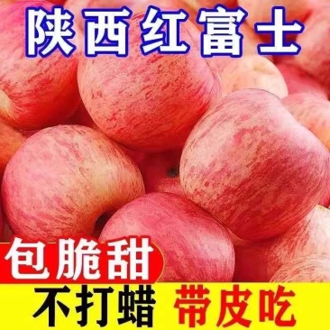 红富士苹果各电商平台一件代发