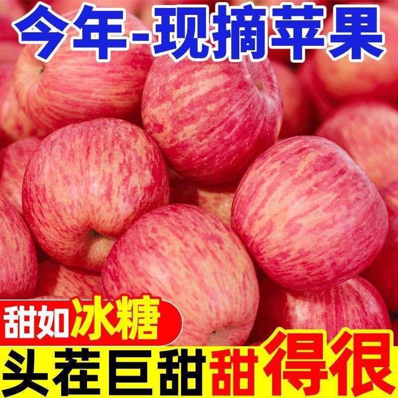 红富士苹果各电商平台一件代发