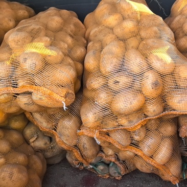 沃土，希森，土豆批发