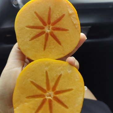 次郎脆柿大量上市，价格便宜，欢迎订购