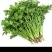 香菜