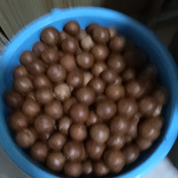 坚果