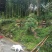 土蜂蜜