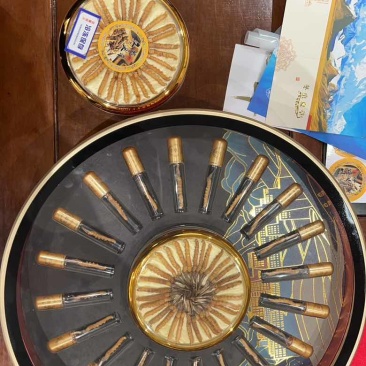 正宗玉树虫草，低预算超值圆盘礼盒装，高端上档次，送礼送健康