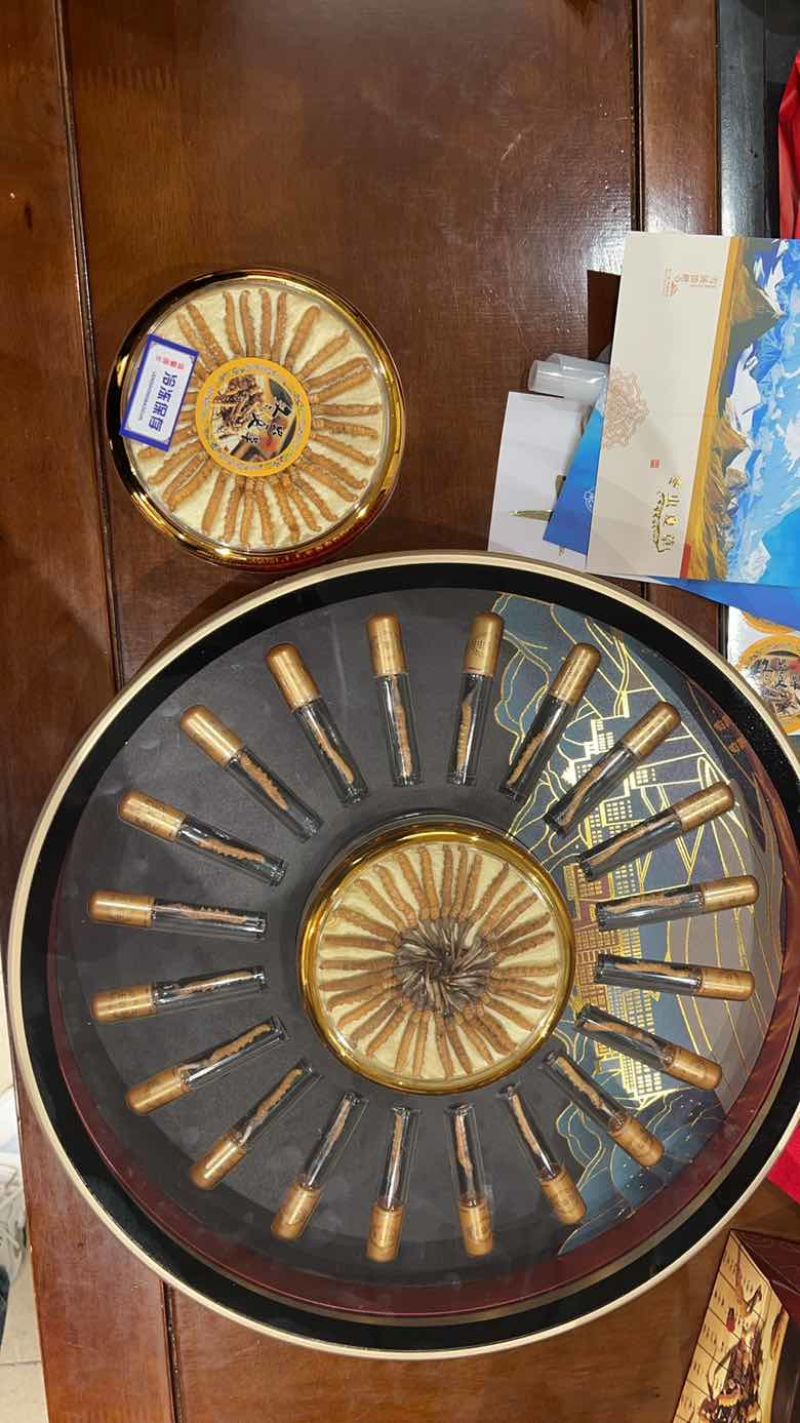 正宗玉树虫草，低预算超值圆盘礼盒装，高端上档次，送礼送健康