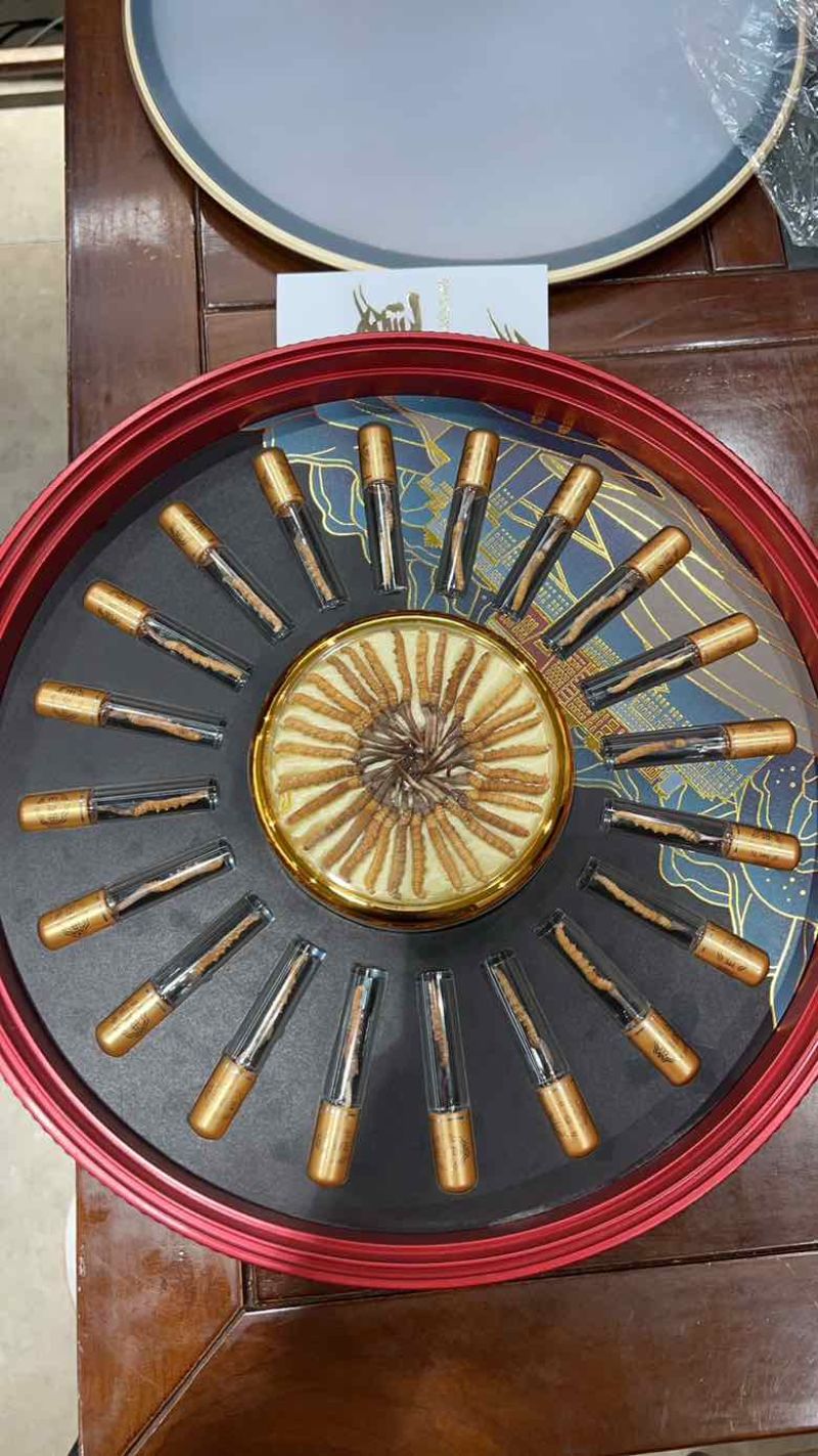 正宗玉树虫草，低预算超值圆盘礼盒装，高端上档次，送礼送健康