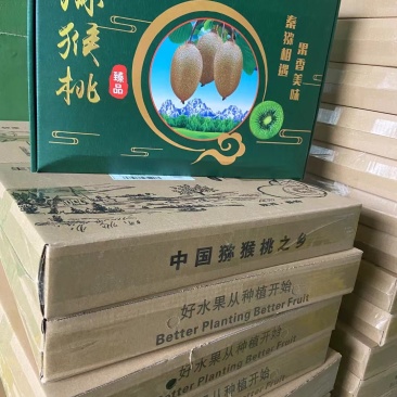 陕西省西安市周至县司竹镇（猕猴桃）