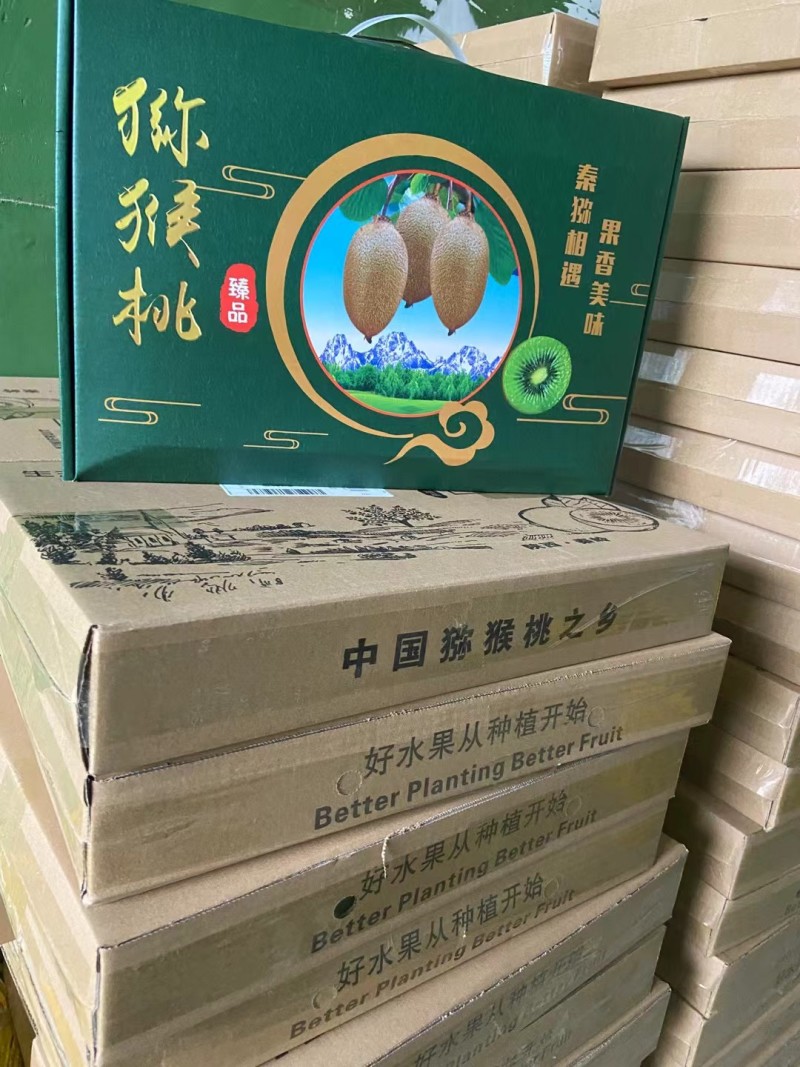 陕西省西安市周至县司竹镇（猕猴桃）