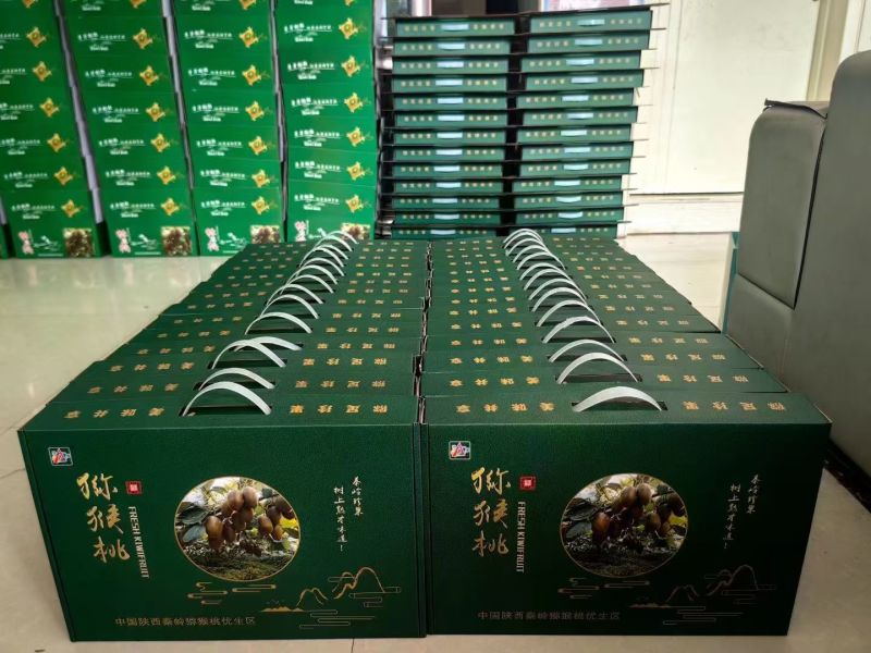 陕西省西安市周至县司竹镇（猕猴桃）