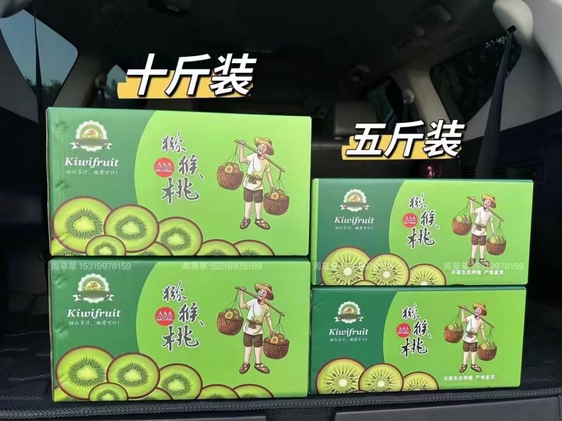 陕西省西安市周至县司竹镇（猕猴桃）