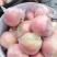陕西红富士苹果