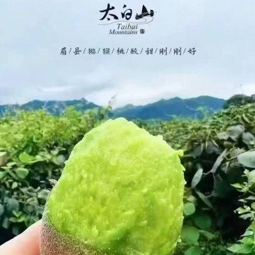 猕猴桃