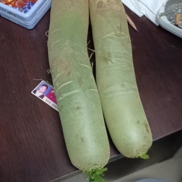 青萝卜