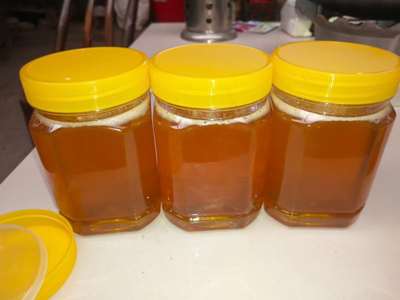 自己养的土蜂蜜