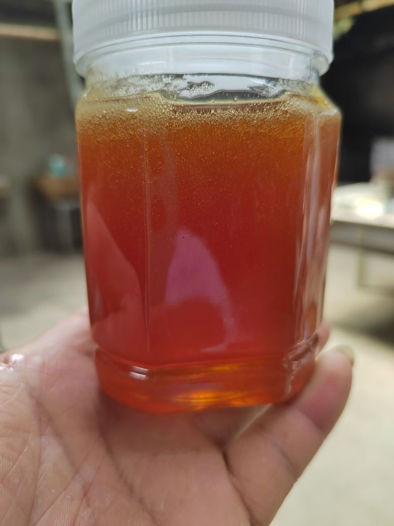 自己养的土蜂蜜