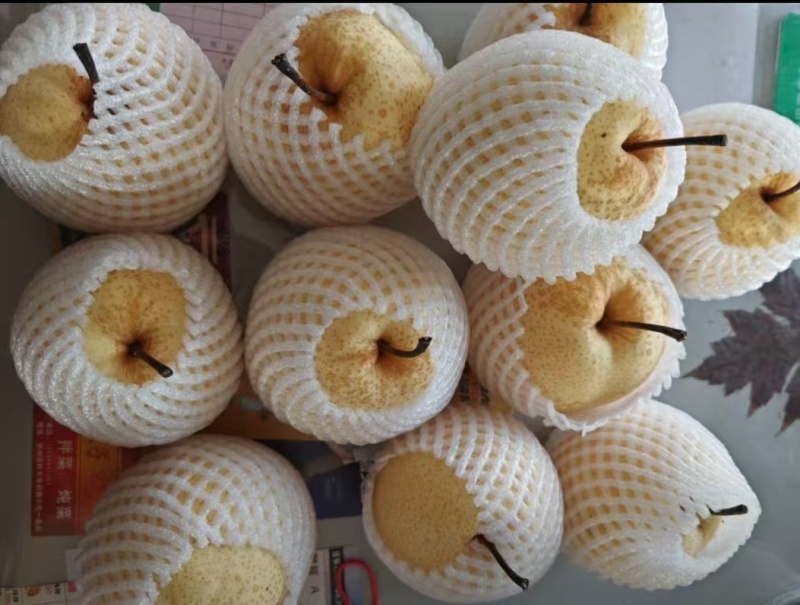 吕梁精品贡梨，酥梨