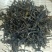 普洱茶古树（25春，原头料，原生态百年茶树）
