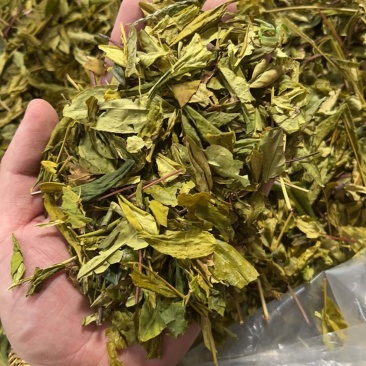 茶叶片