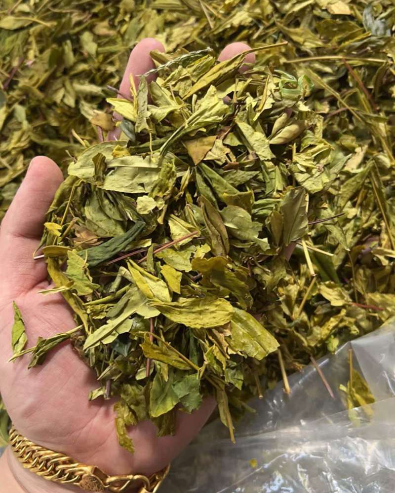 茶叶片