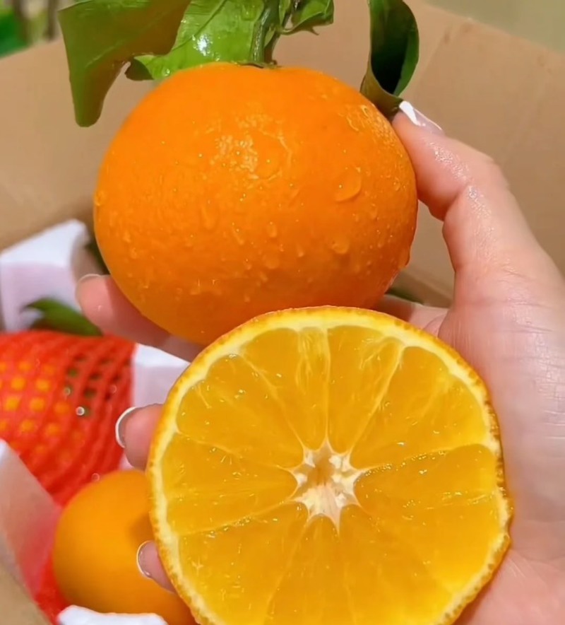 柑橘，耙耙柑橘