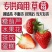云南夏季草莓