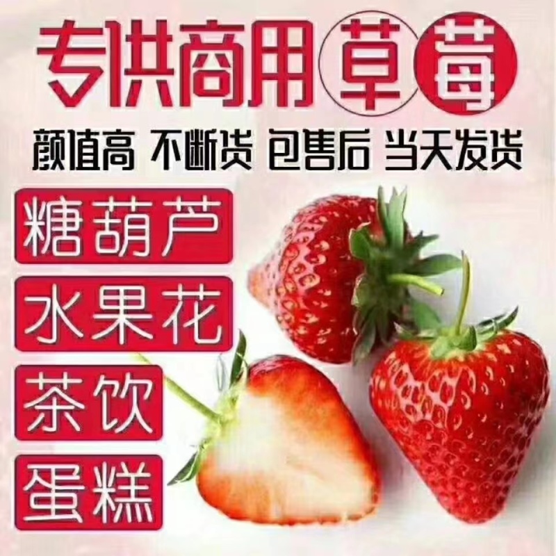 云南夏季草莓