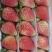 云南夏季草莓