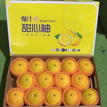红心柚子葡萄柚