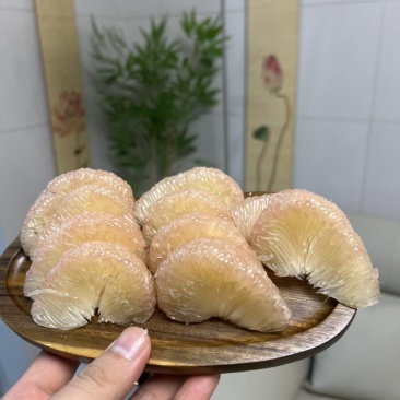 度尾文旦柚老树现摘