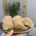 度尾文旦柚老树现摘