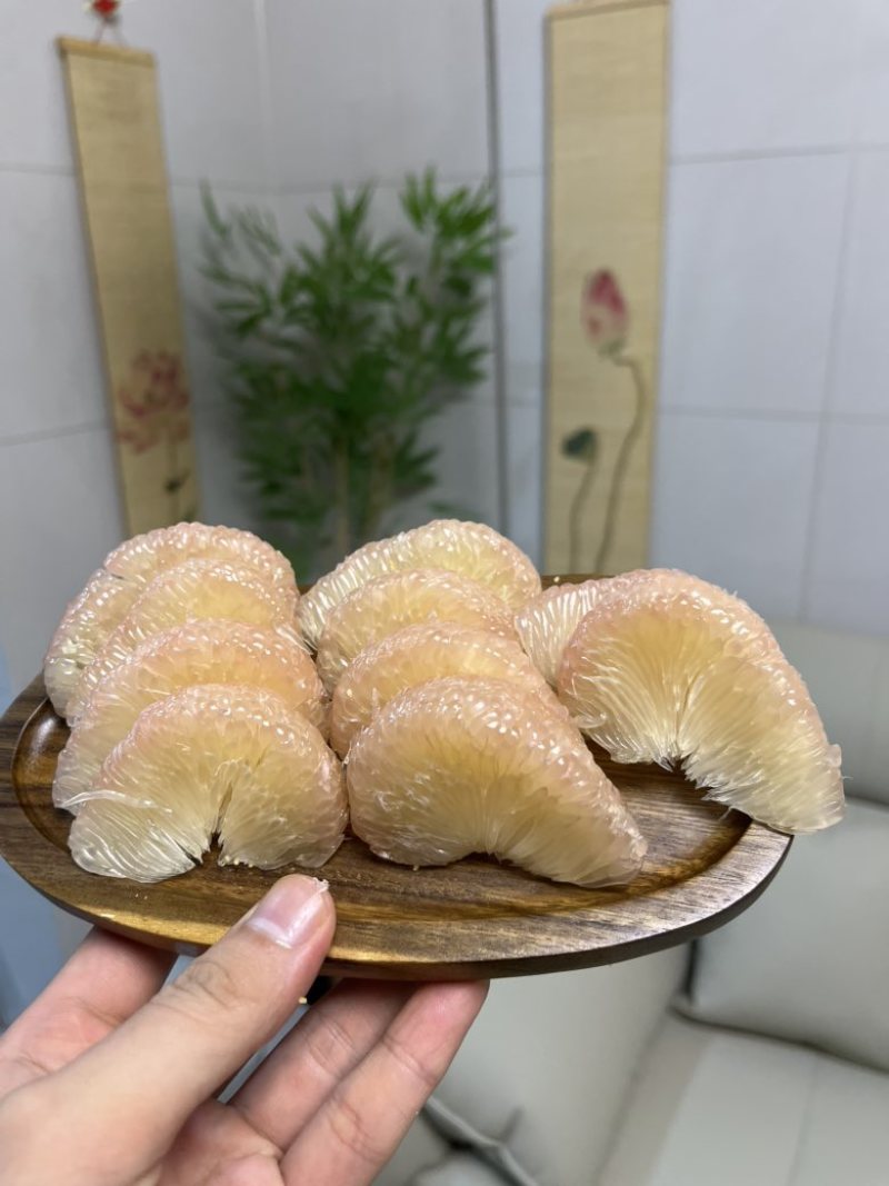 度尾文旦柚老树现摘