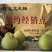 度尾文旦柚老树现摘