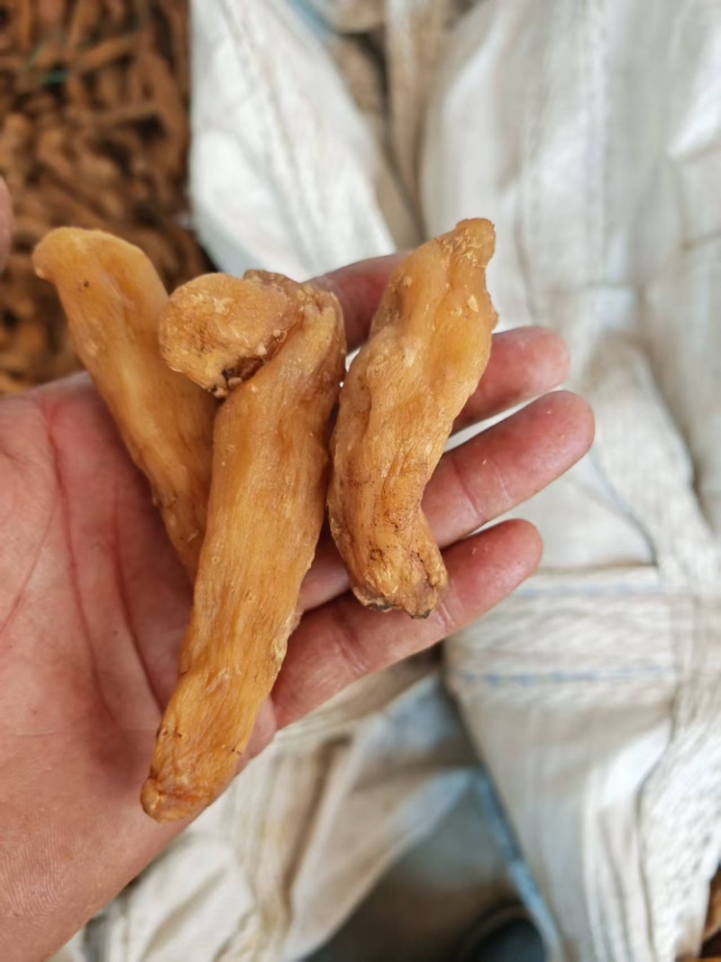 熟晒手选大货-鸡头黄精干品