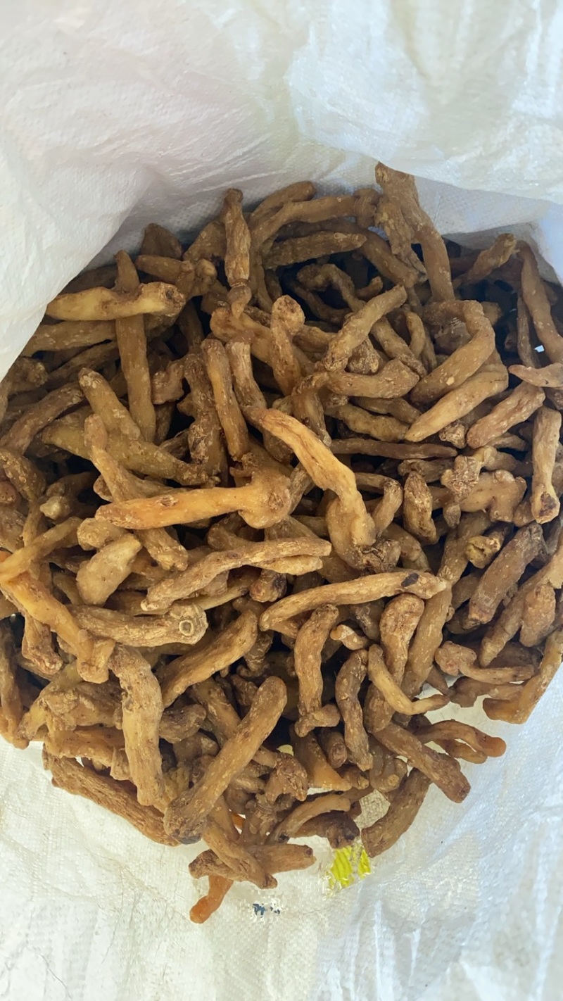 熟晒手选大货-鸡头黄精干品