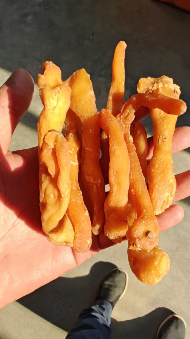 熟晒手选大货-鸡头黄精干品