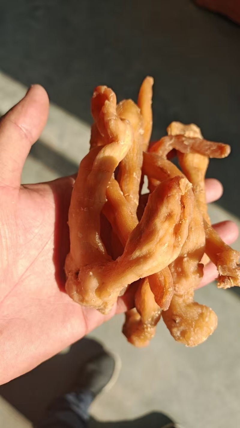 熟晒手选大货-鸡头黄精干品
