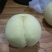 香沉冬桃