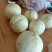 香沉冬桃